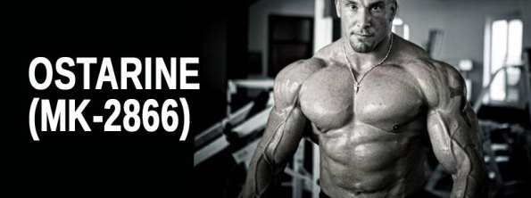 �P�~�J��,�o�d,�ж�,PE,����,�傫��,�y�j�X,�f�J�`��,�f�J�}��,���i�V���R���{�[��,�V���R�������O